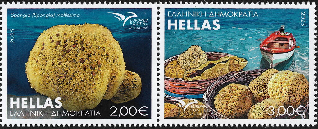 Spongia (Spongia) Mollissima
