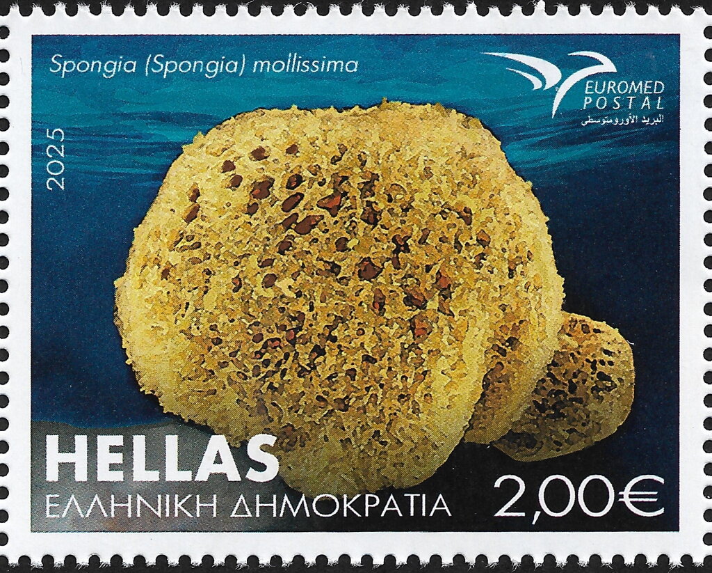 Spongia (Spongia) Mollissima