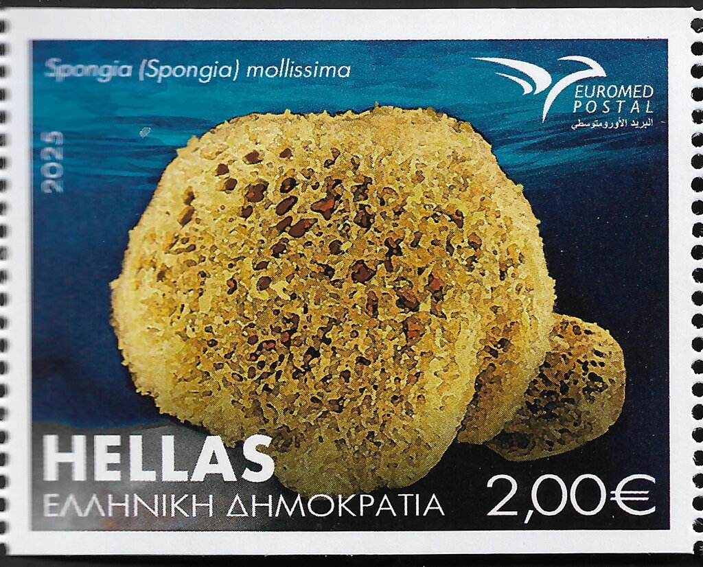 Spongia (Spongia) Mollissima