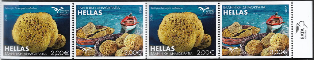Spongia (Spongia) Mollissima