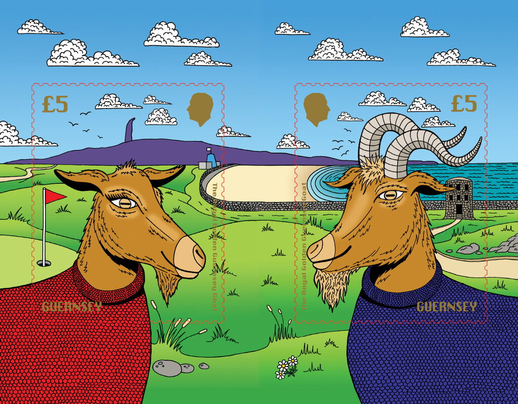 Royal Golden Guenrsey Goat
