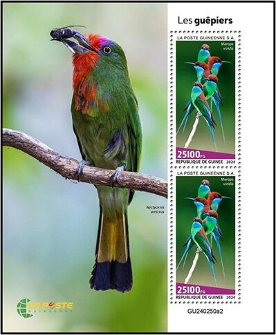 Bee Eaters (Merops viridis)