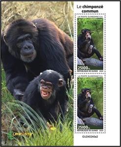 Souvenir Sheet, Chimpanzee (Pan troglodytes), Guinea,  , Animals (Fauna), Monkeys