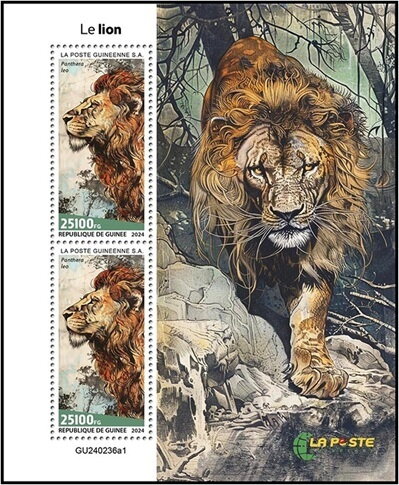 Lions (Panthera leo)