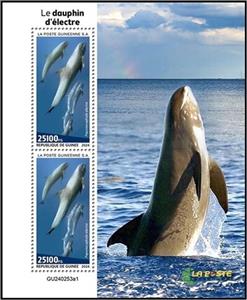 Souvenir Sheet, Melon Headed Whale (Peponocephala electra), Guinea,  , Sea Life, Whales