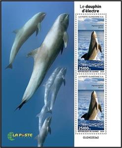 Souvenir Sheet, Melon Headed Whale (Peponocephala electra), Guinea,  , Sea Life, Whales