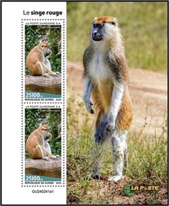 Souvenir Sheet, Patas Monkey (Erythrocebus patas), Guinea,  , Animals (Fauna), Monkeys