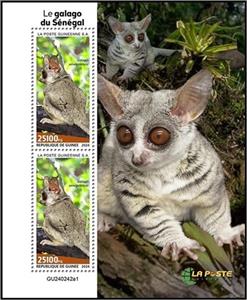 Souvenir Sheet, Senegal Bushbaby (Galago senegalensis), Guinea,  , Animals (Fauna), Monkeys