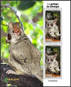 Souvenir Sheet, Senegal Bushbaby (Galago senegalensis), Guinea,  , Animals (Fauna), Monkeys