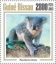 Koalas