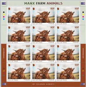 Full Pane, Highland Cow, Isle of Man,  , Cattle