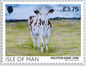 Stamp, Holstein Dairy Cow, Isle of Man,  , Cattle