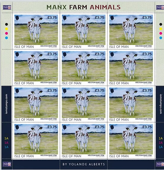 Holstein Dairy Cow