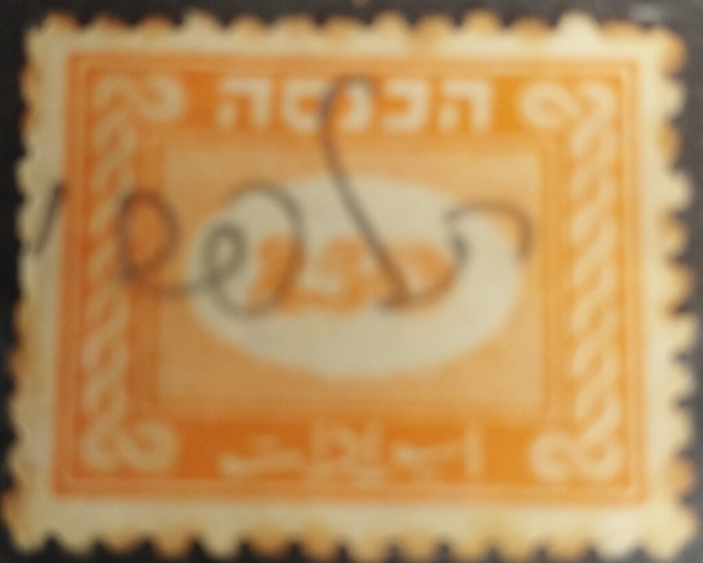 Digit in oval