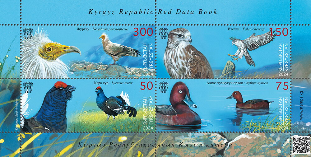 Birds of Kyrgyzstan