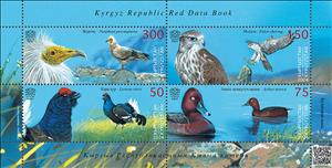 Souvenir Sheet, Birds of Kyrgyzstan, Kyrgyzstan- Kyrgyz Express Post,  , Animals (Fauna), Birds, Ducks, Falcons, Vultures