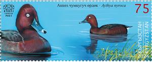 Stamp, Ferruginous Duck (Aythya nyroca), Kyrgyzstan- Kyrgyz Express Post,  , Animals (Fauna), Ducks
