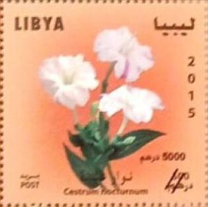 Stamp, Cestrum nocturnum, Libya,  , Flowers, Orchids, Plants (Flora)