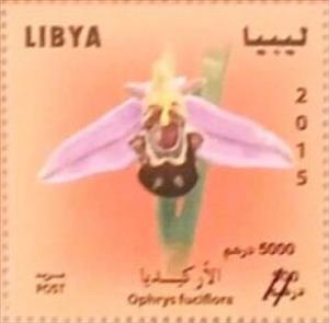 Stamp, Late Spider Orchid (Ophrys fuciflora), Libya,  , Flowers, Orchids, Plants (Flora)