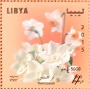 Stamp, Narcissus, Libya,  , Flowers, Orchids, Plants (Flora)