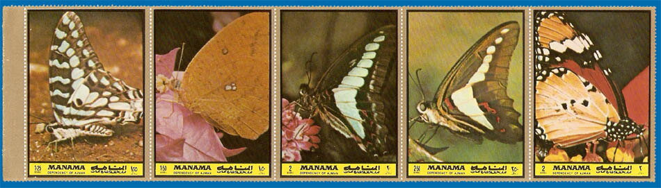 Butterflies