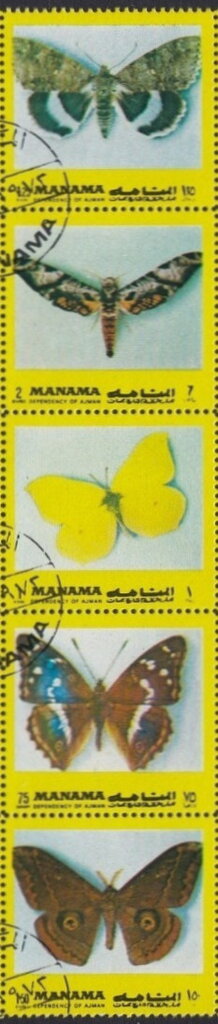 Butterflies