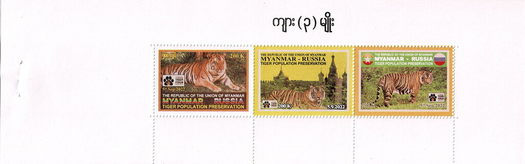 International Tiger Forum, Vladivostok, Russia