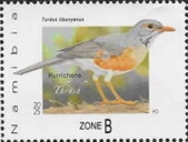 Kurrichane Thrush (Turdus libonyana)