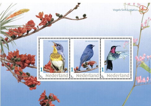 Birds of Sint Eustatius