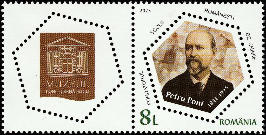 Petru Poni, Chemist