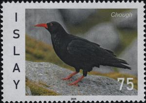 Stamp, Chough, Scotland, Isle of Islay,  , Animals (Fauna), Birds