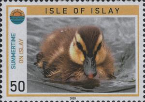 Stamp, Mallard Duckling, Scotland, Isle of Islay,  , Animals (Fauna), Birds, Ducks