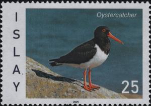 Stamp, Oystercatcher, Scotland, Isle of Islay,  , Animals (Fauna), Birds