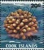 Stamp, Hood Coral (Stylophora pistillata) - Surcharged, Cook Islands,  , Corals and Sponges, Sea Life