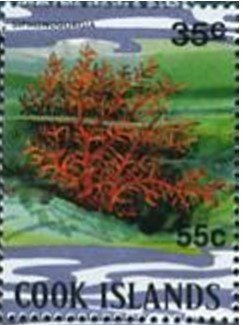 Stamp, Siphonogorgia - Surcharged, Cook Islands,  , Corals and Sponges, Sea Life