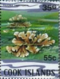 Stamp, Cactus Coral (Pavona praetorta) - Surcharged, Cook Islands,  , Corals and Sponges, Sea Life