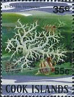Stamp, (Stylaster echinatus) - Surcharged, Cook Islands,  , Corals and Sponges, Sea Life