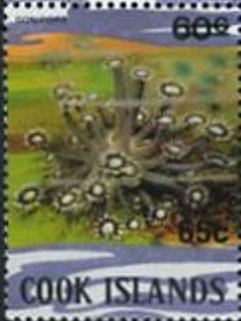 Stamp, Gonipora - Surcharged, Cook Islands,  , Corals and Sponges, Sea Life