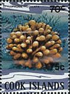 Stamp, Hood Coral (Stylophora pistillata) - Surcharged, Cook Islands,  , Corals and Sponges, Sea Life
