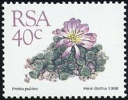Stamp, Frithia pulchra, South Africa,  , Cacti, Plants (Flora)