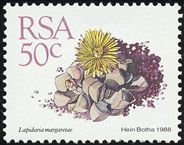 Stamp, Lapidaria margaretae, South Africa,  , Cacti