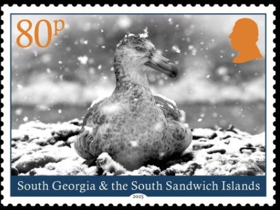Wildlife of South Georgia