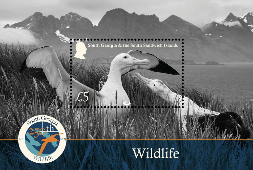 Wildlife of South Georgia