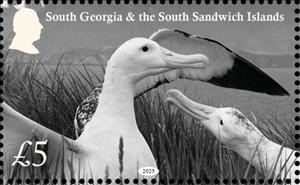 Stamp, Wildlife of South Georgia, South Georgia and The South Sandwich Islands,  , Animals (Fauna), Birds, Gulls