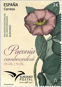 Stamp, Euromed 2025 : Paeonia cambessedesii, Spain,  , Euromed, Flowers, Plants (Flora)