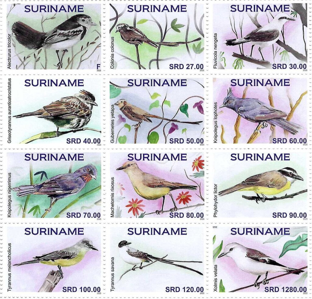 Birds