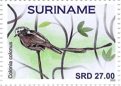 Stamp, Colonia colonus, Suriname,  , Birds