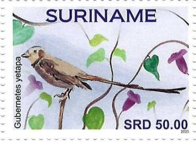 Stamp, Colonia colonus, Suriname,  , Birds