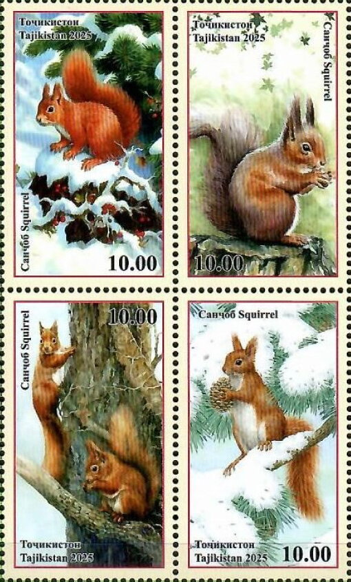 Squirrels