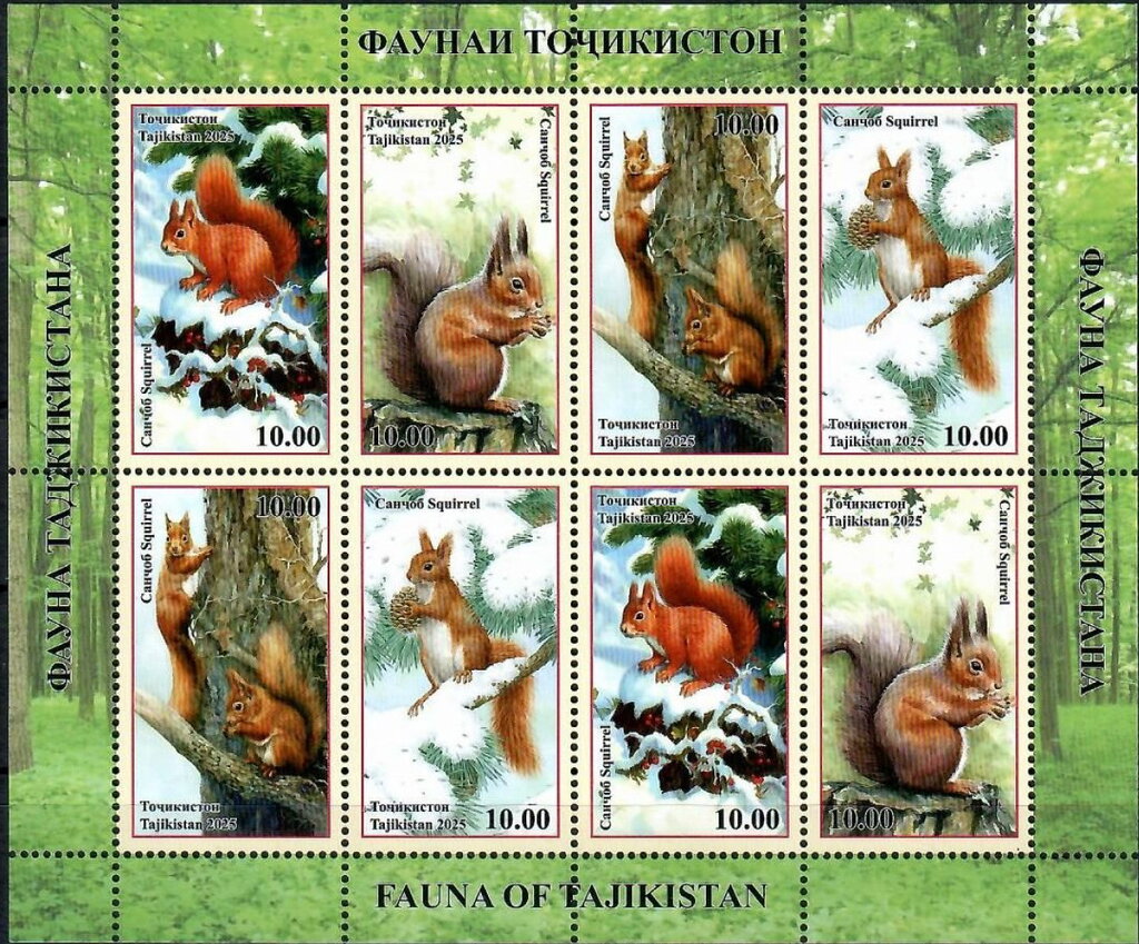 Squirrels